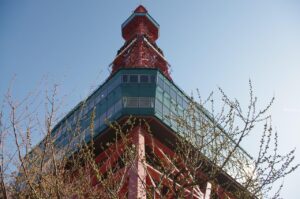 札幌でお得な全身脱毛キャンペーンはどこで見つけられる？