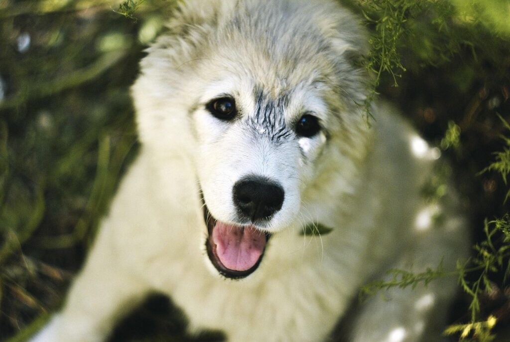 VIO脱毛で痛くない方法はどれ？