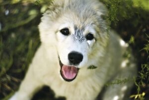 脱毛後にボディミルクをいつ塗るのが効果的？