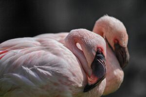 部分脱毛の組み合わせはどれがおすすめ？