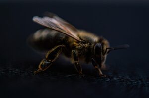 脱毛の体験予約はどう進めればいい？